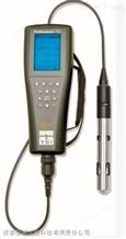 YSI Pro20溶解氧测量仪,美国YSI,溶解氧测量仪