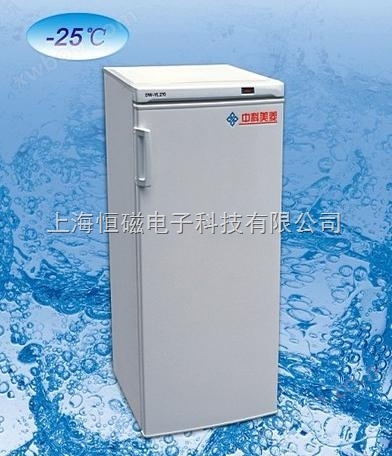 -25℃低温储存箱DW-YL270