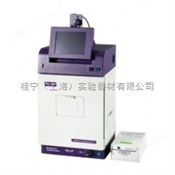 UVP凝胶成像系统BioDoc- It Imaging System