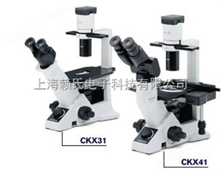 奥林巴斯CKX41倒置荧光显微镜