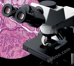 奥林巴斯显微镜CX31报价是多少钱？