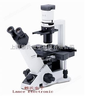 奥林巴斯倒置显微镜CKX41中国总部
