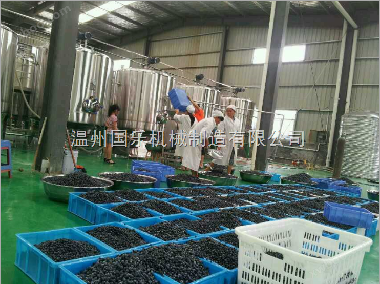 蓝莓果汁生产线*温州国乐厂家供应蓝莓果汁深加工设备
