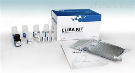 兔子免疫球蛋白A（IgA）ELISA试剂盒