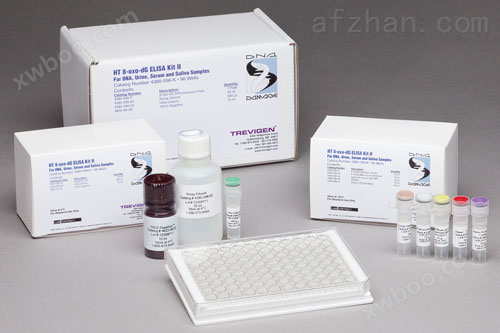 核苷二磷酸激酶A（NDPK-A）ELISA试剂盒