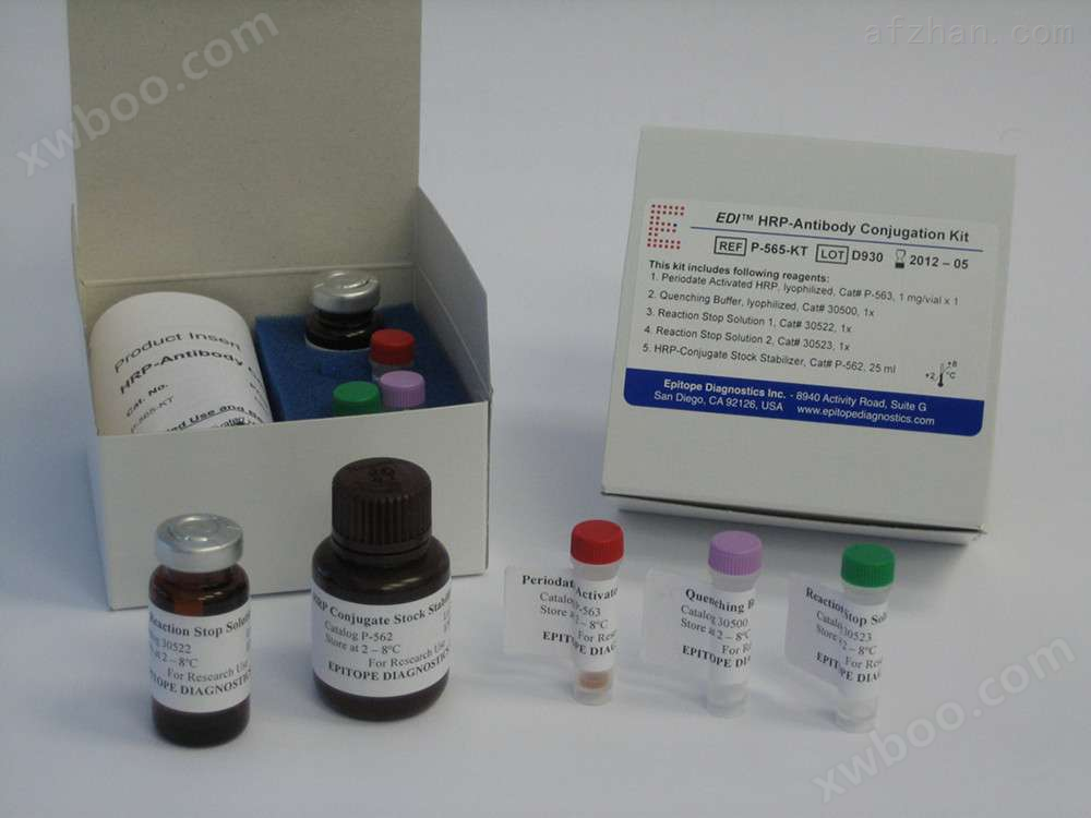 核黄素转运因子1（RFT1）ELISA试剂盒