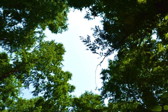 锚定绿智高端，共赴涂装盛举2025工业涂装表面处理行业年会耀动重庆