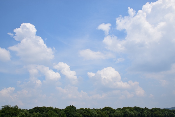 广东省邮政管理局联合省民政厅印发通知推进地邮协作助力乡村振兴