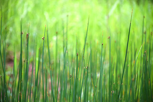 内蒙古局召开自治区“十五五”邮政业发展规划专题研讨会