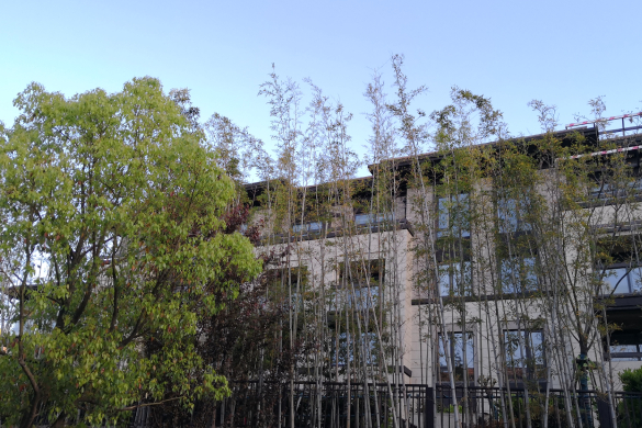 公开征求对《工业洗涤机械通用安全要求》等2项强制性国家标准（征求意见稿）的意见